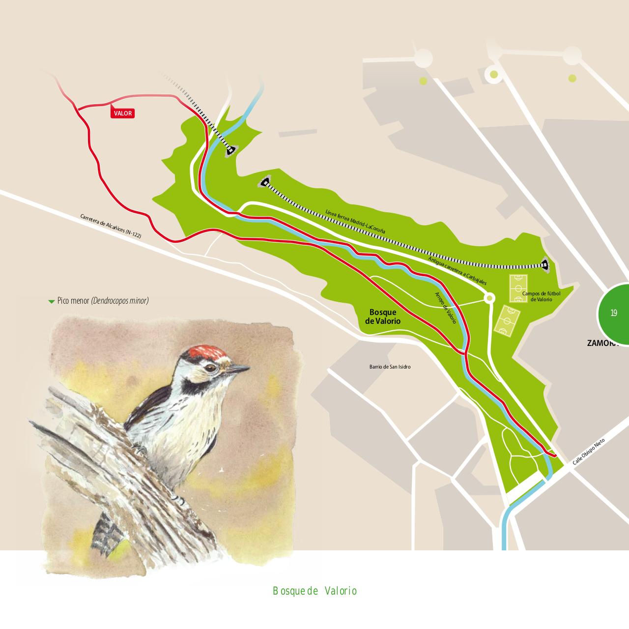 Vista previa del archivo PDF gu-a-aves-y-naturaleza-2017.pdf