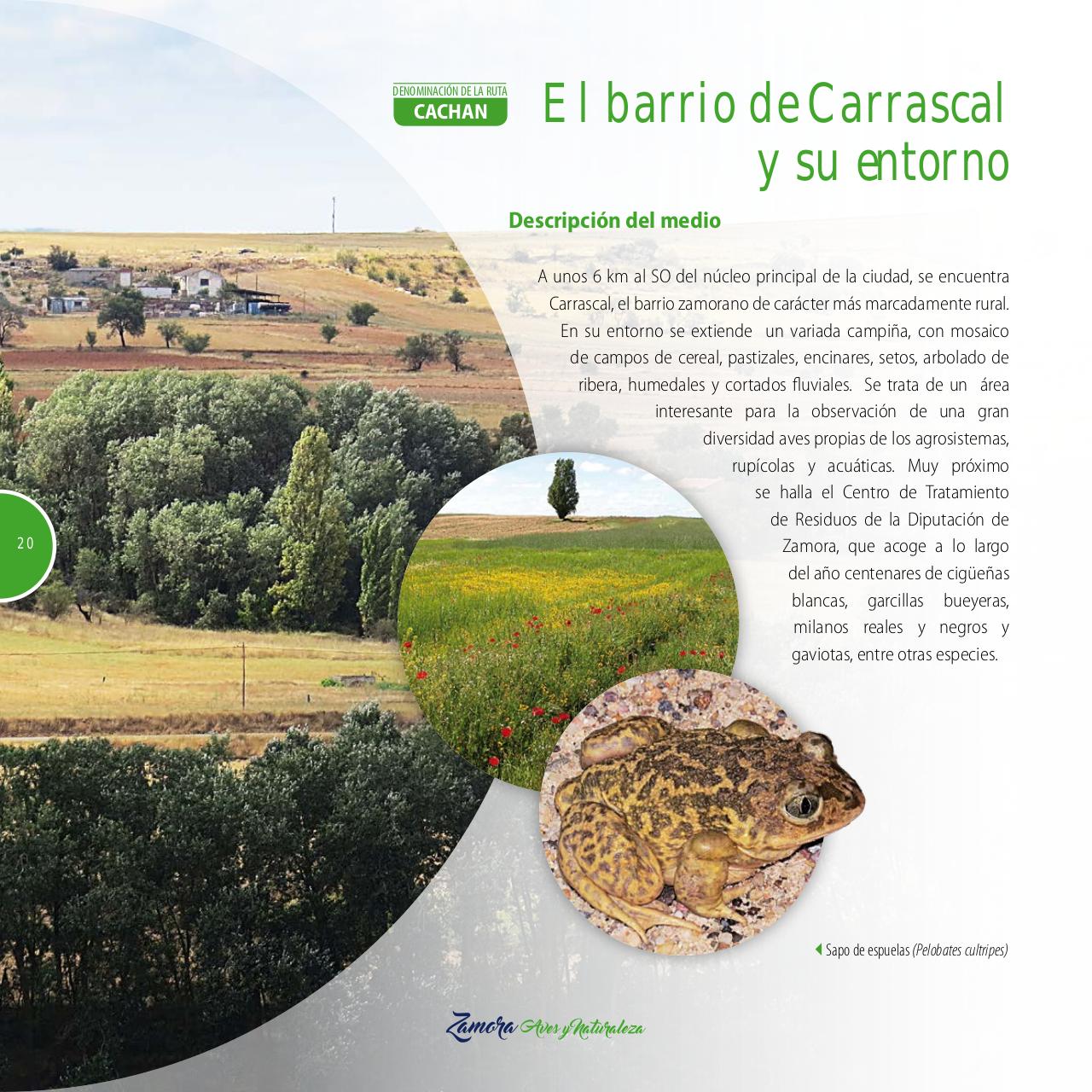 Vista previa del archivo PDF gu-a-aves-y-naturaleza-2017.pdf