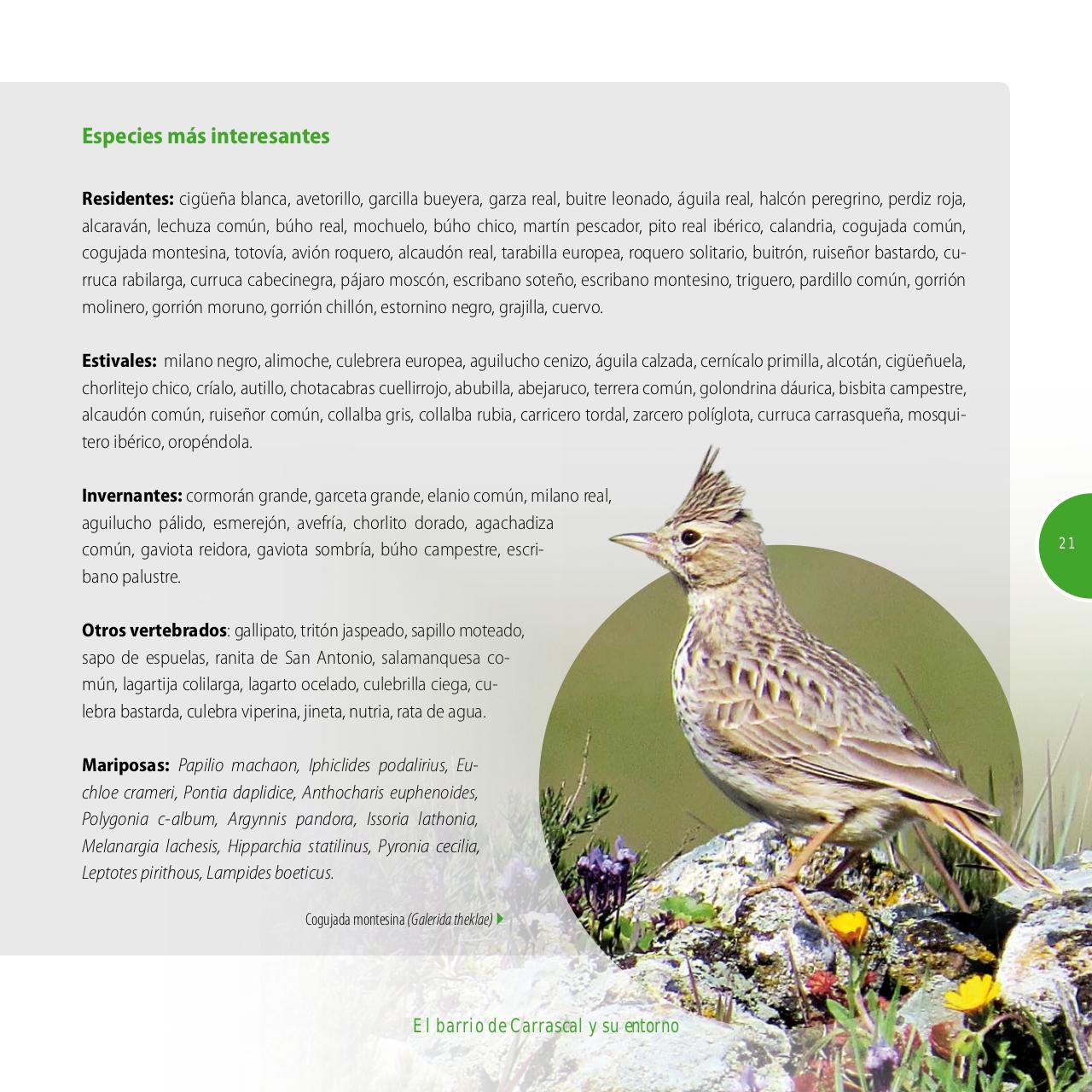 Vista previa del archivo PDF gu-a-aves-y-naturaleza-2017.pdf