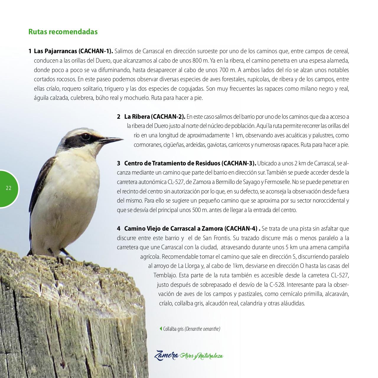 Vista previa del archivo PDF gu-a-aves-y-naturaleza-2017.pdf