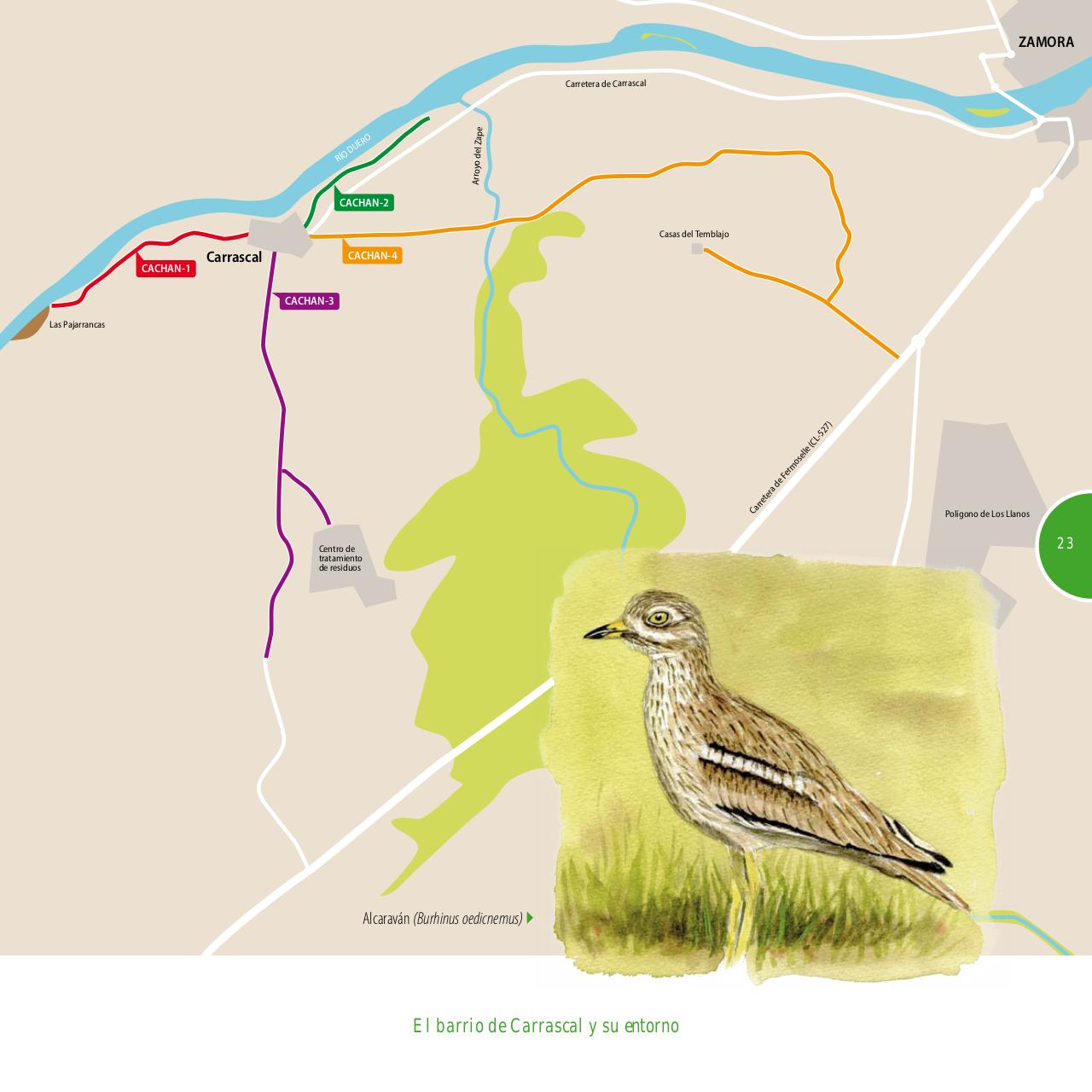 Vista previa del archivo PDF gu-a-aves-y-naturaleza-2017.pdf