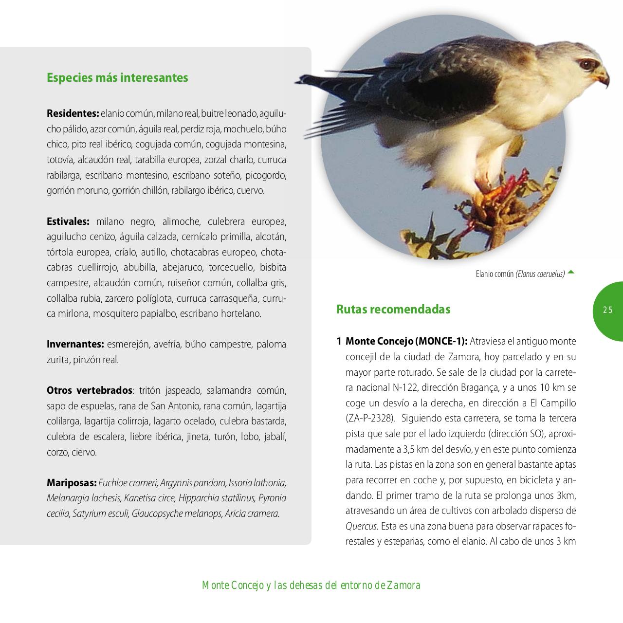Vista previa del archivo PDF gu-a-aves-y-naturaleza-2017.pdf