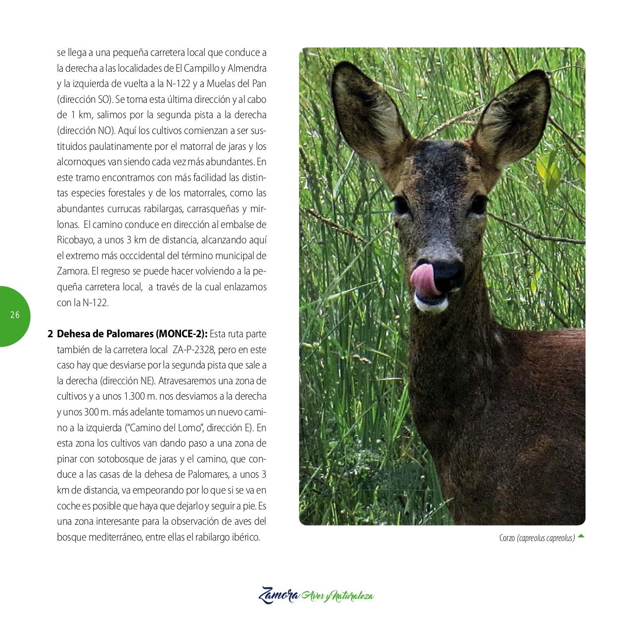 Vista previa del archivo PDF gu-a-aves-y-naturaleza-2017.pdf