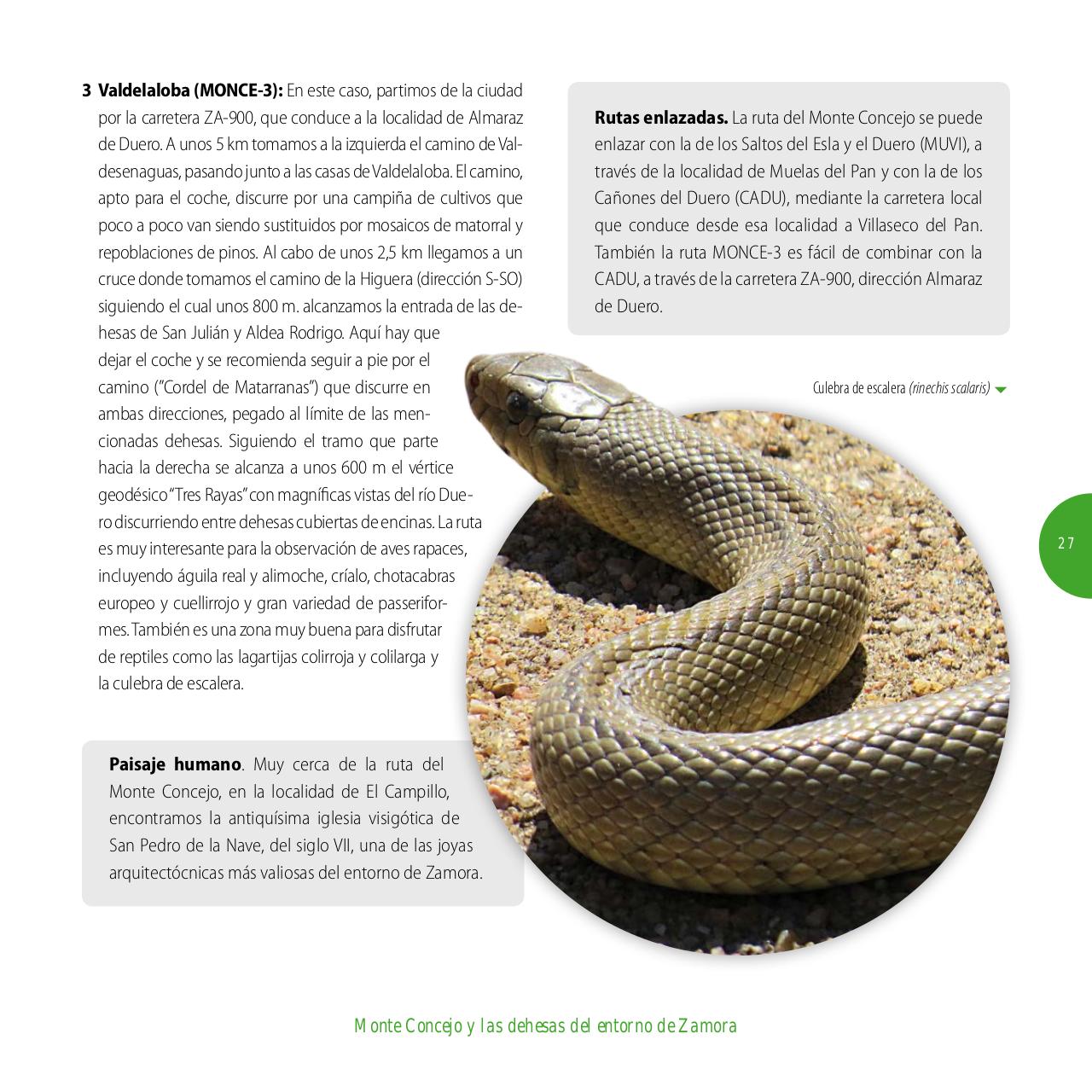 Vista previa del archivo PDF gu-a-aves-y-naturaleza-2017.pdf