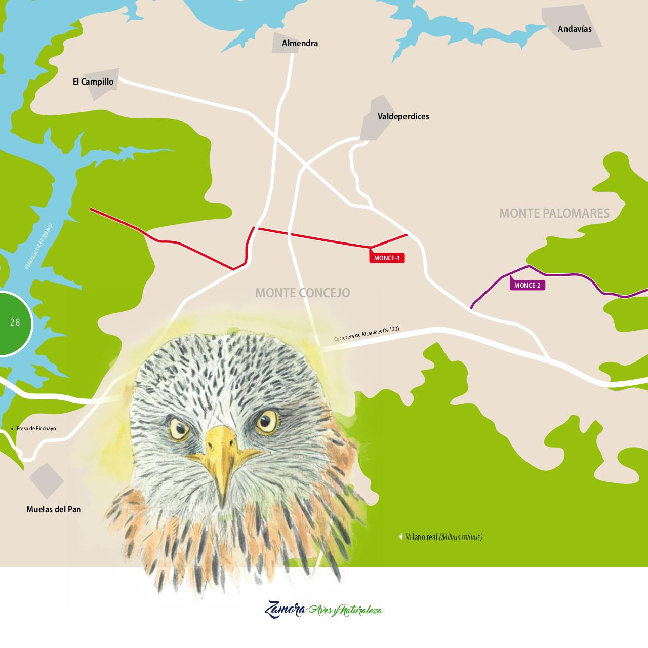 Vista previa del archivo PDF gu-a-aves-y-naturaleza-2017.pdf