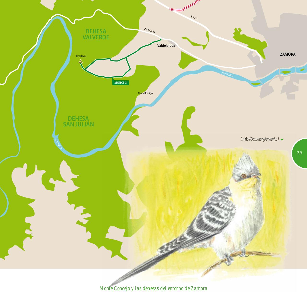 Vista previa del archivo PDF gu-a-aves-y-naturaleza-2017.pdf