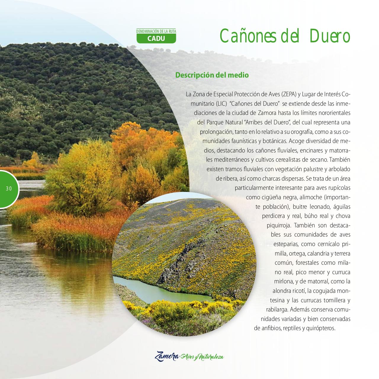 Vista previa del archivo PDF gu-a-aves-y-naturaleza-2017.pdf