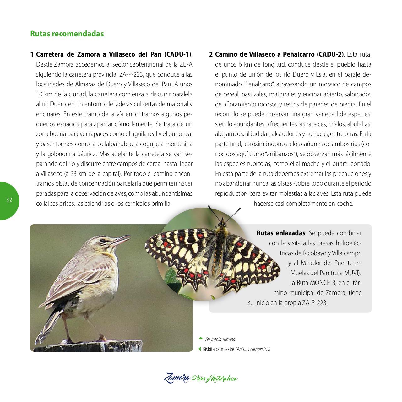 Vista previa del archivo PDF gu-a-aves-y-naturaleza-2017.pdf