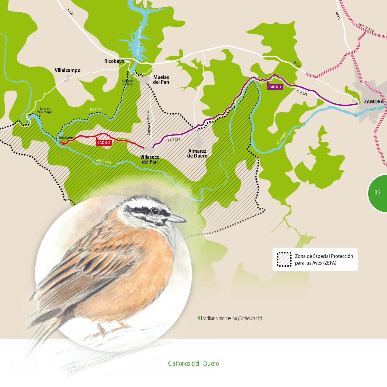 Vista previa del archivo PDF gu-a-aves-y-naturaleza-2017.pdf