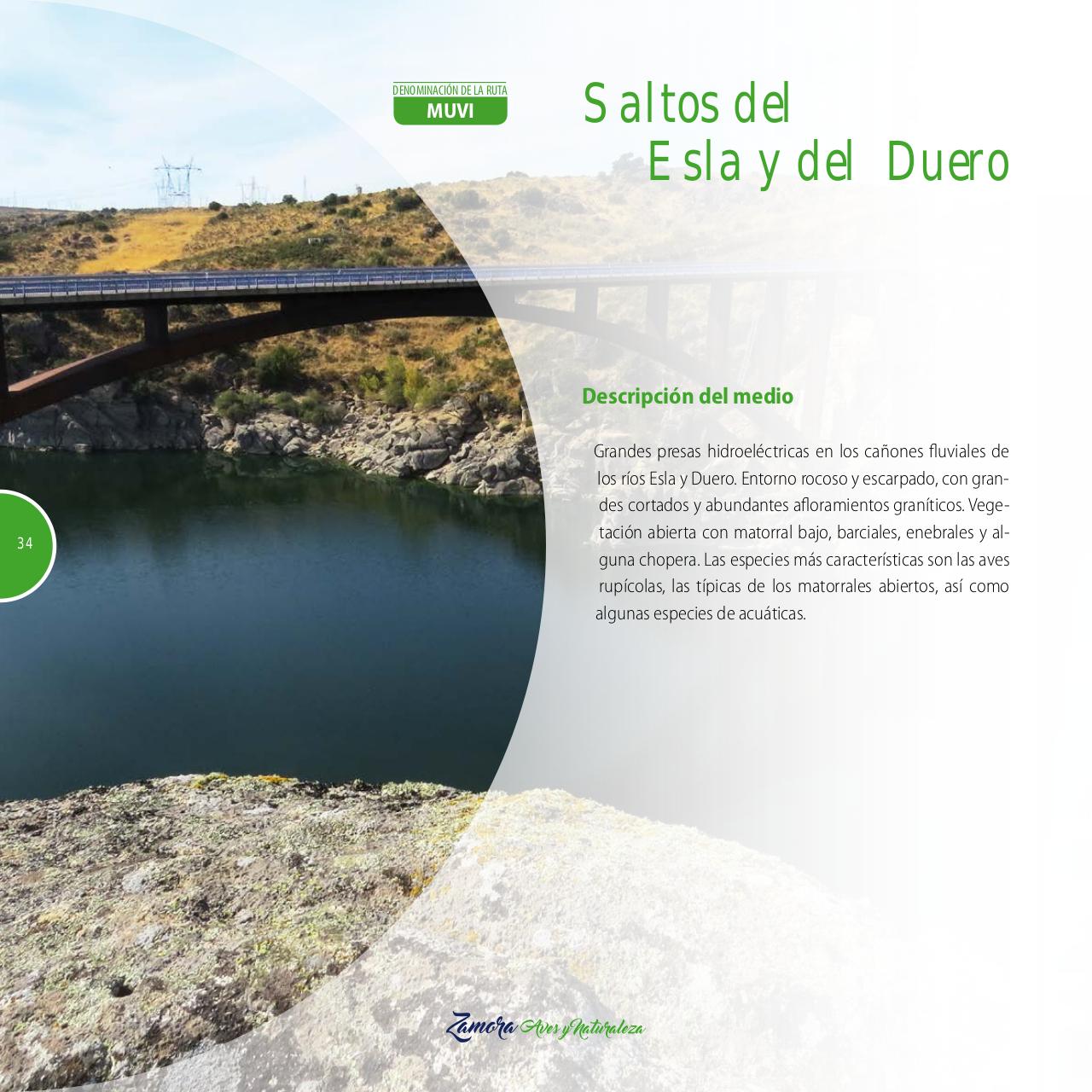 Vista previa del archivo PDF gu-a-aves-y-naturaleza-2017.pdf