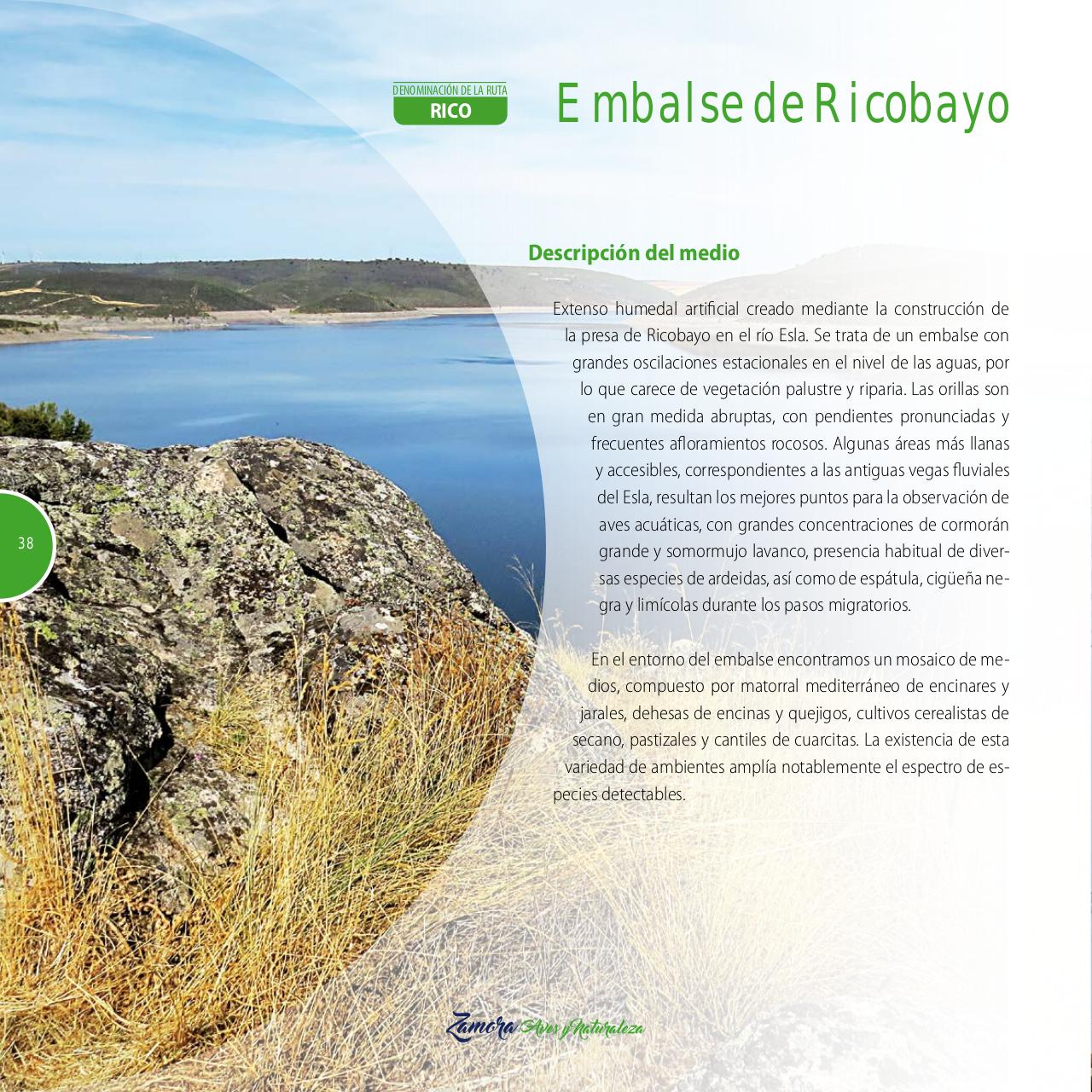 Vista previa del archivo PDF gu-a-aves-y-naturaleza-2017.pdf