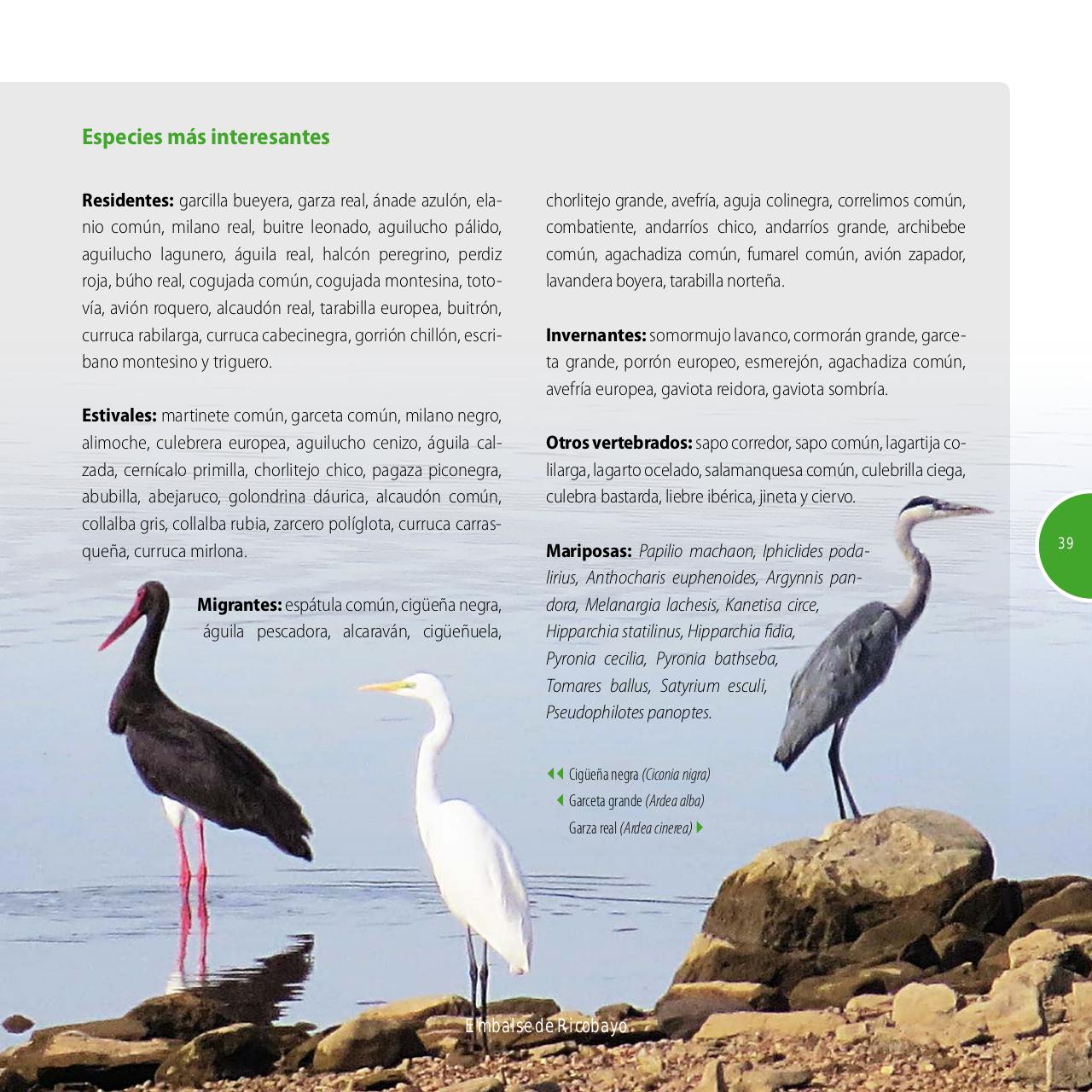 Vista previa del archivo PDF gu-a-aves-y-naturaleza-2017.pdf