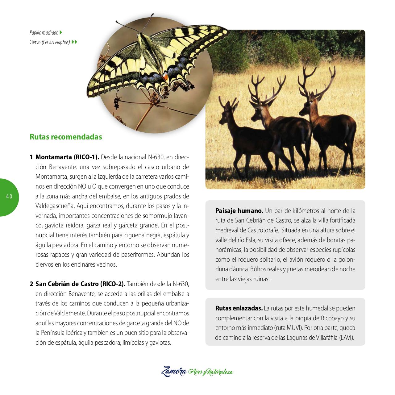 Vista previa del archivo PDF gu-a-aves-y-naturaleza-2017.pdf