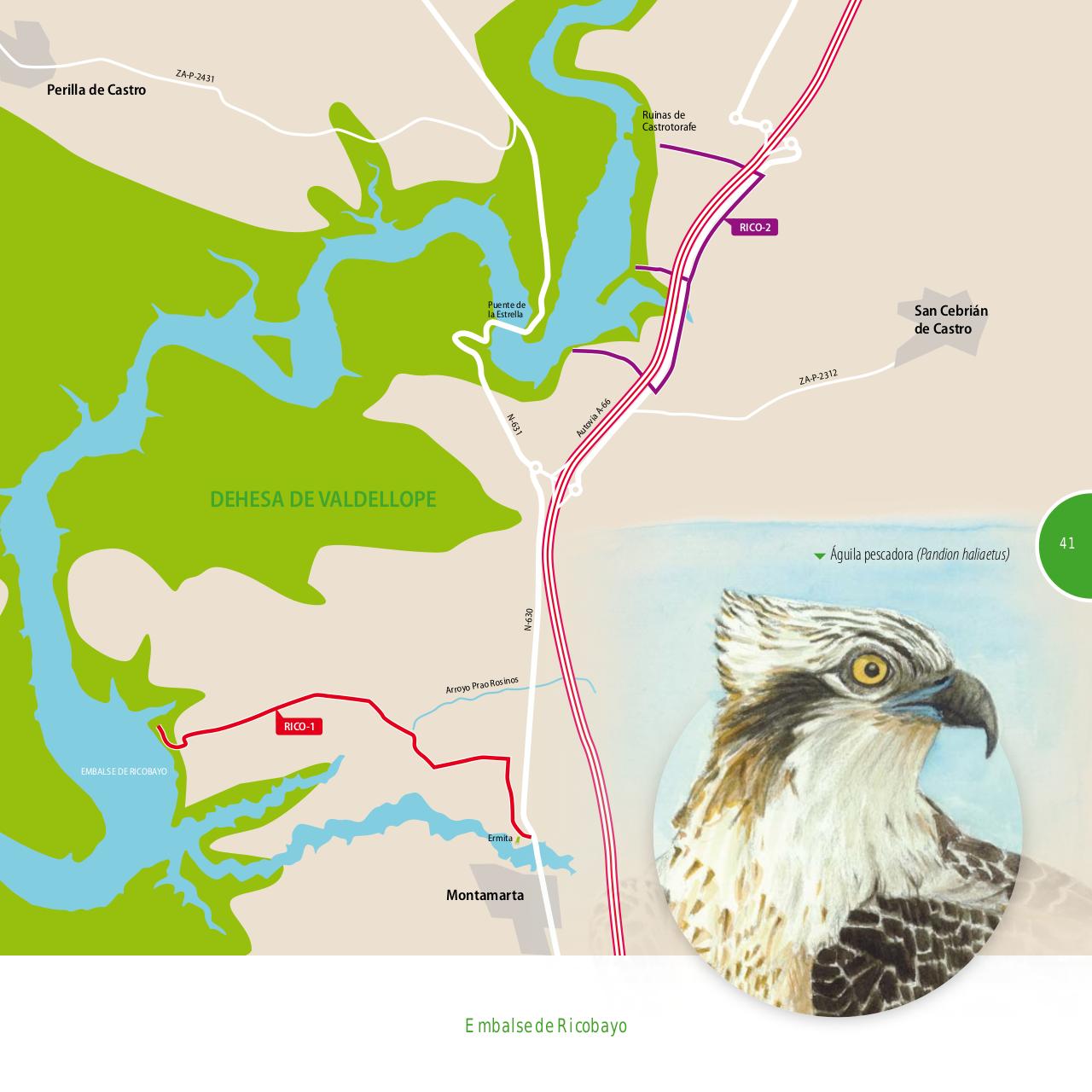 Vista previa del archivo PDF gu-a-aves-y-naturaleza-2017.pdf