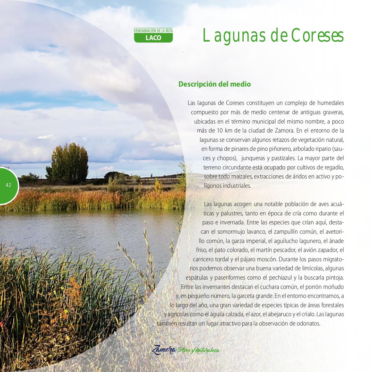Vista previa del archivo PDF gu-a-aves-y-naturaleza-2017.pdf