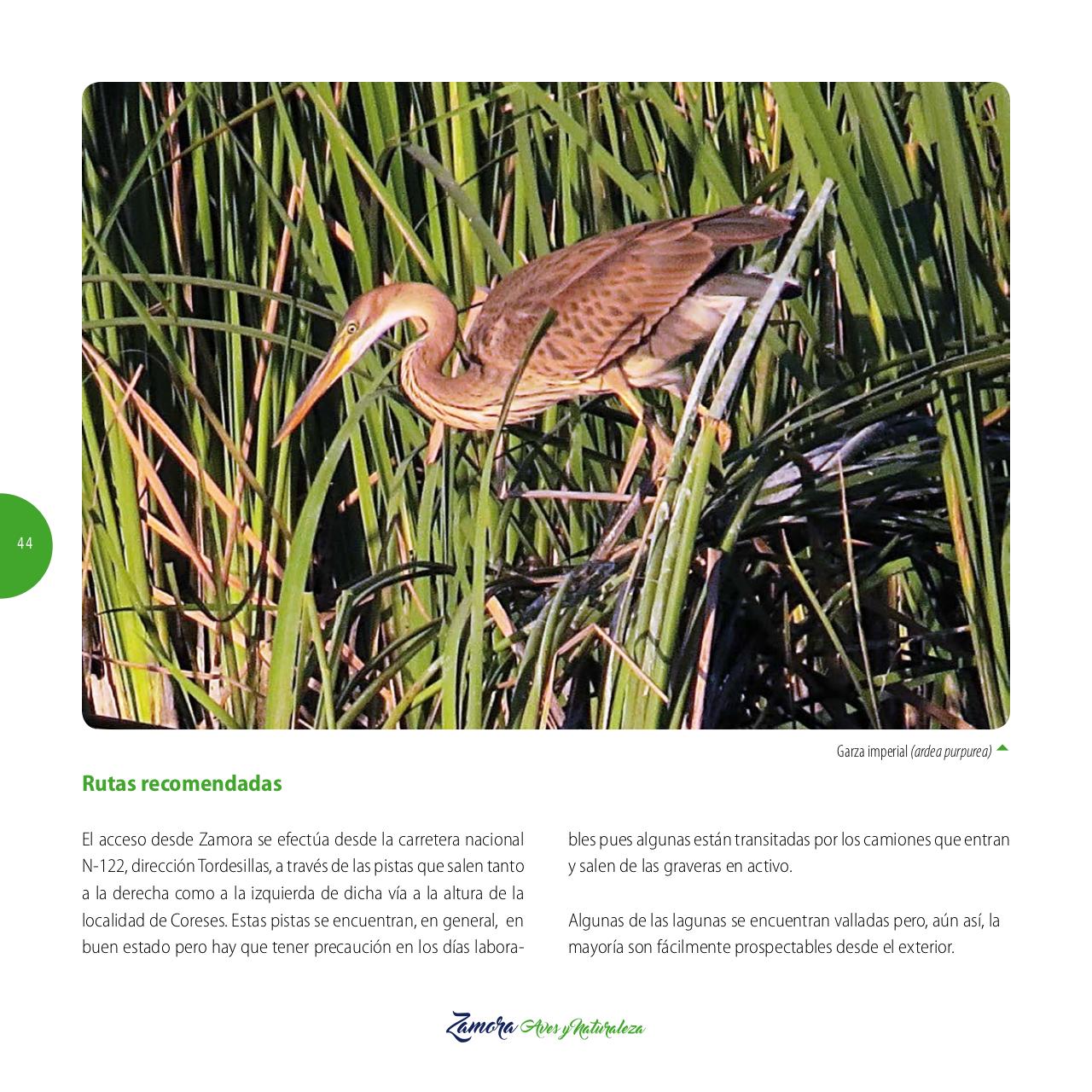 Vista previa del archivo PDF gu-a-aves-y-naturaleza-2017.pdf