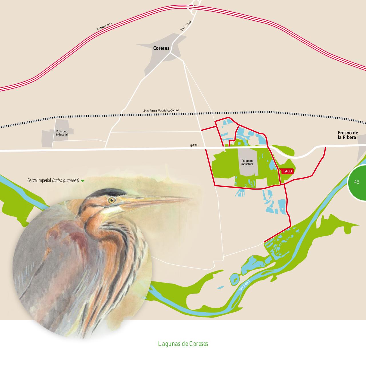 Vista previa del archivo PDF gu-a-aves-y-naturaleza-2017.pdf