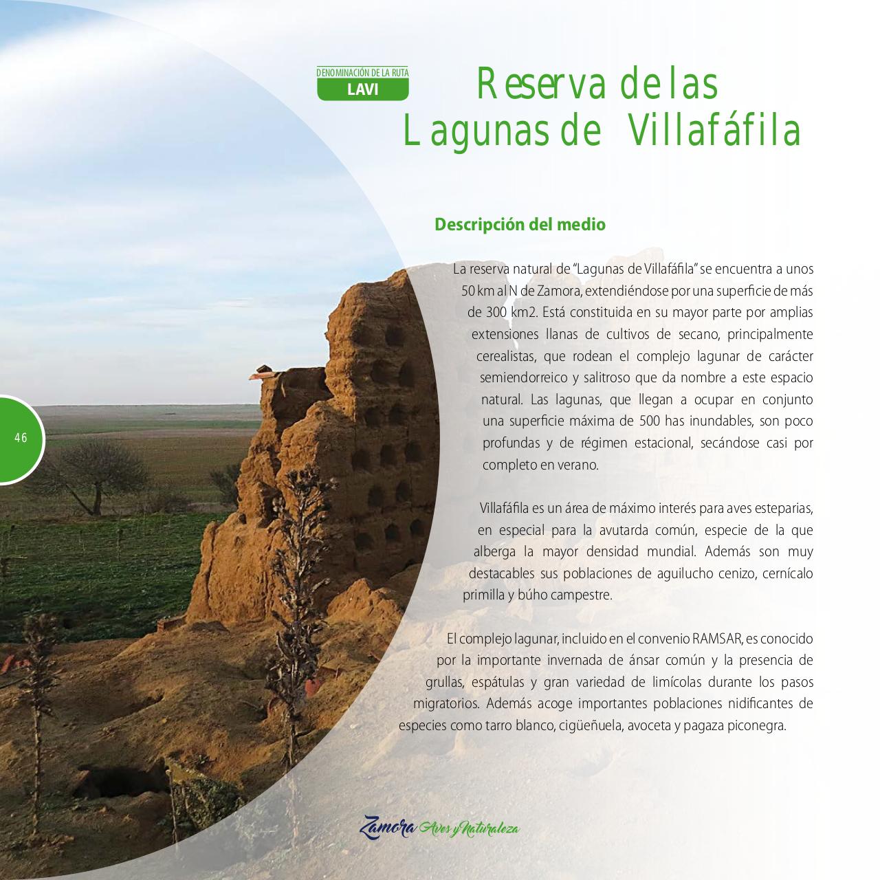 Vista previa del archivo PDF gu-a-aves-y-naturaleza-2017.pdf