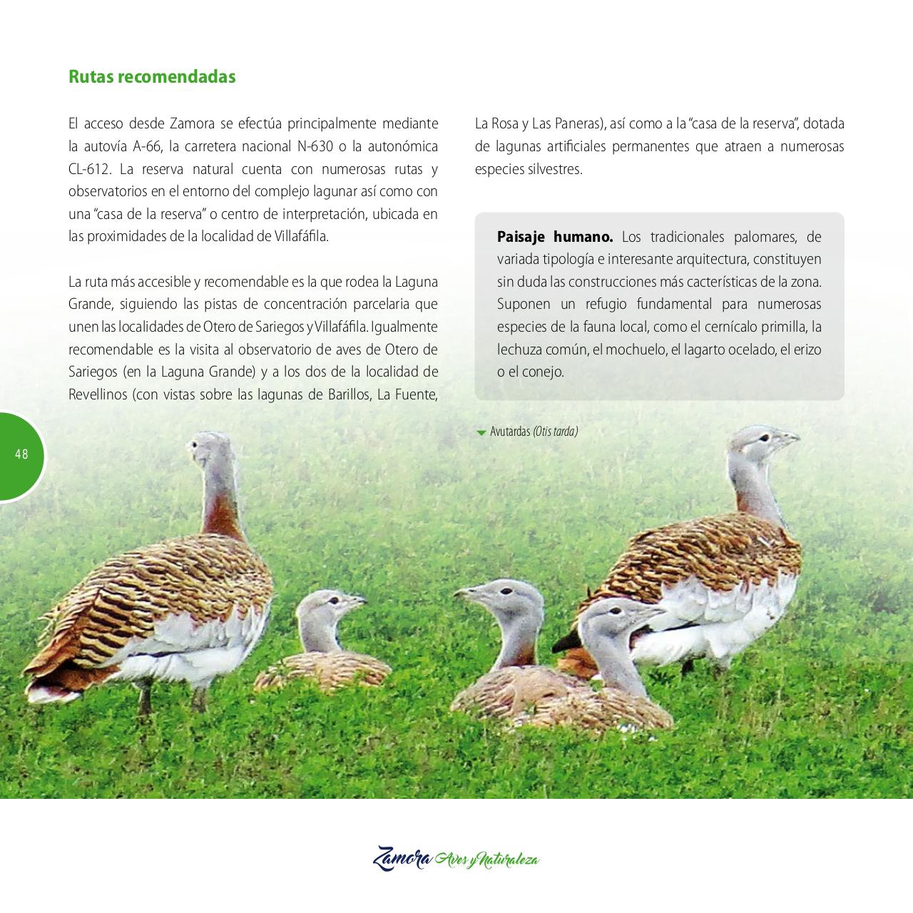 Vista previa del archivo PDF gu-a-aves-y-naturaleza-2017.pdf