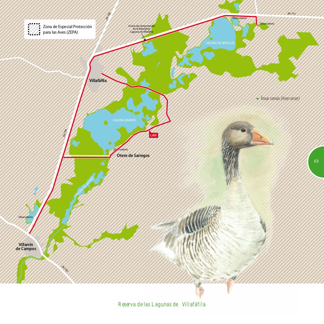 Vista previa del archivo PDF gu-a-aves-y-naturaleza-2017.pdf