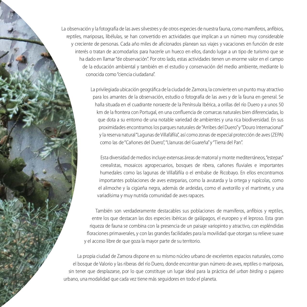 Vista previa del archivo PDF gu-a-aves-y-naturaleza-2017.pdf