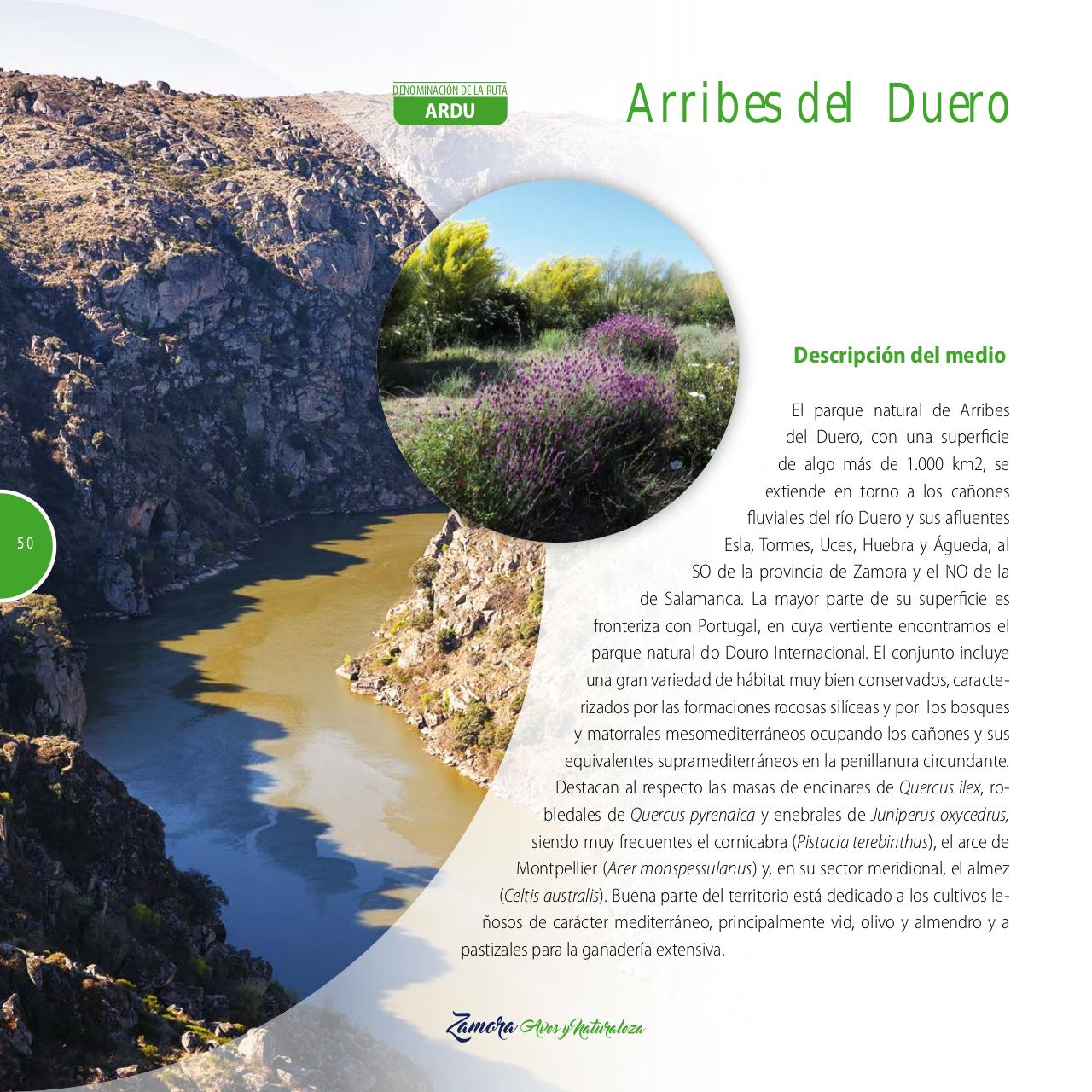 Vista previa del archivo PDF gu-a-aves-y-naturaleza-2017.pdf