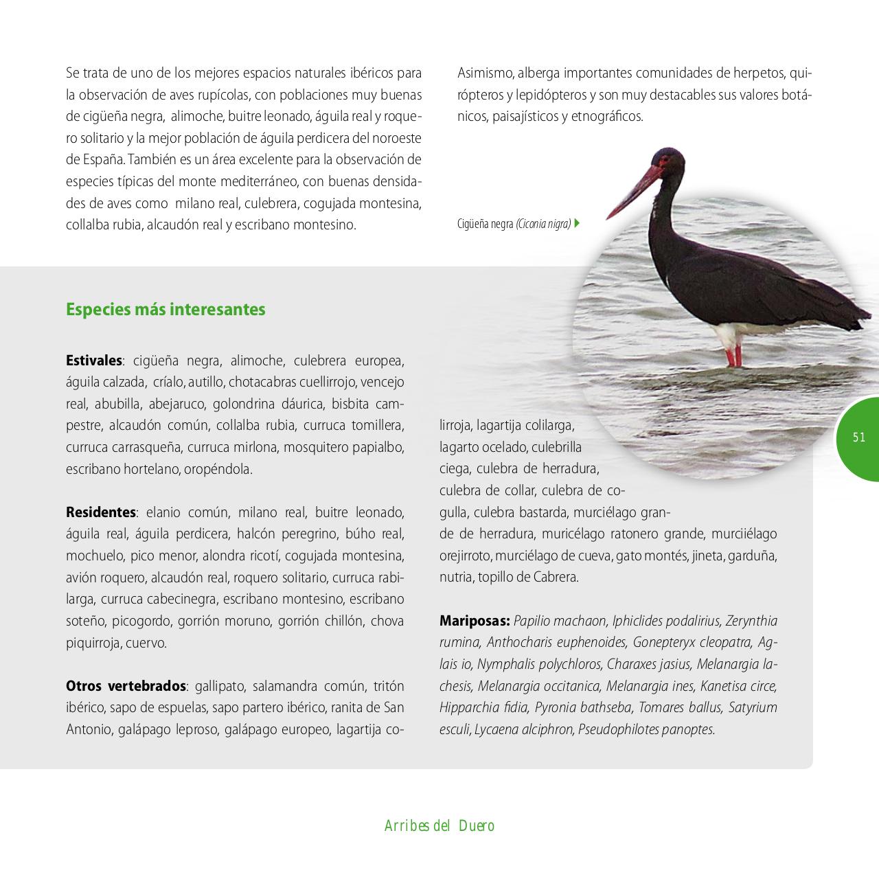 Vista previa del archivo PDF gu-a-aves-y-naturaleza-2017.pdf