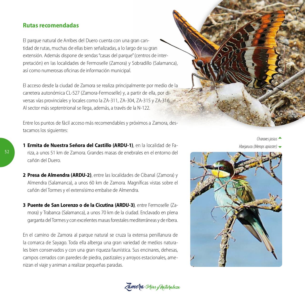 Vista previa del archivo PDF gu-a-aves-y-naturaleza-2017.pdf