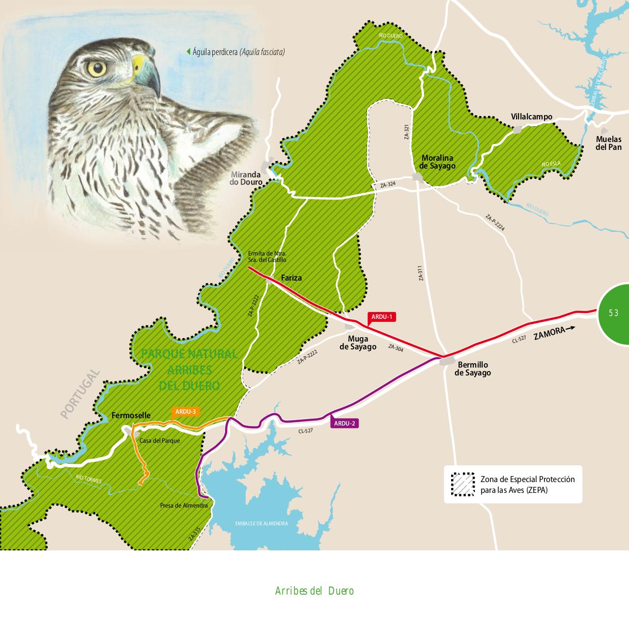 Vista previa del archivo PDF gu-a-aves-y-naturaleza-2017.pdf