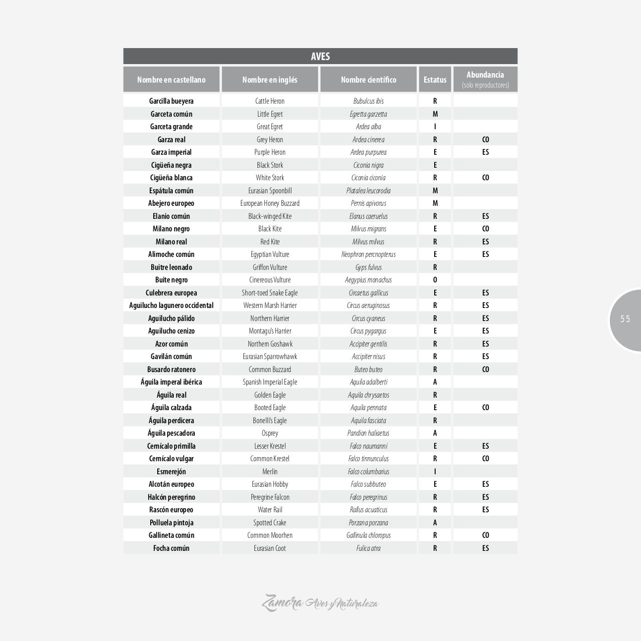 Vista previa del archivo PDF gu-a-aves-y-naturaleza-2017.pdf