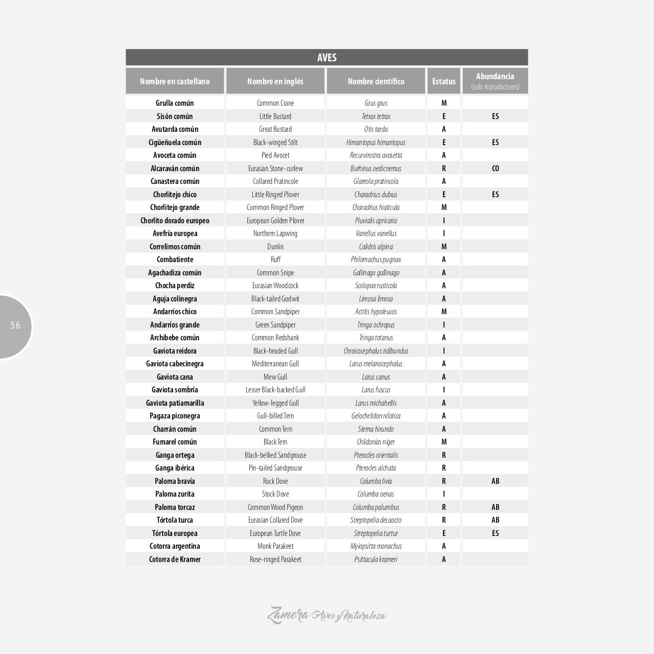 Vista previa del archivo PDF gu-a-aves-y-naturaleza-2017.pdf