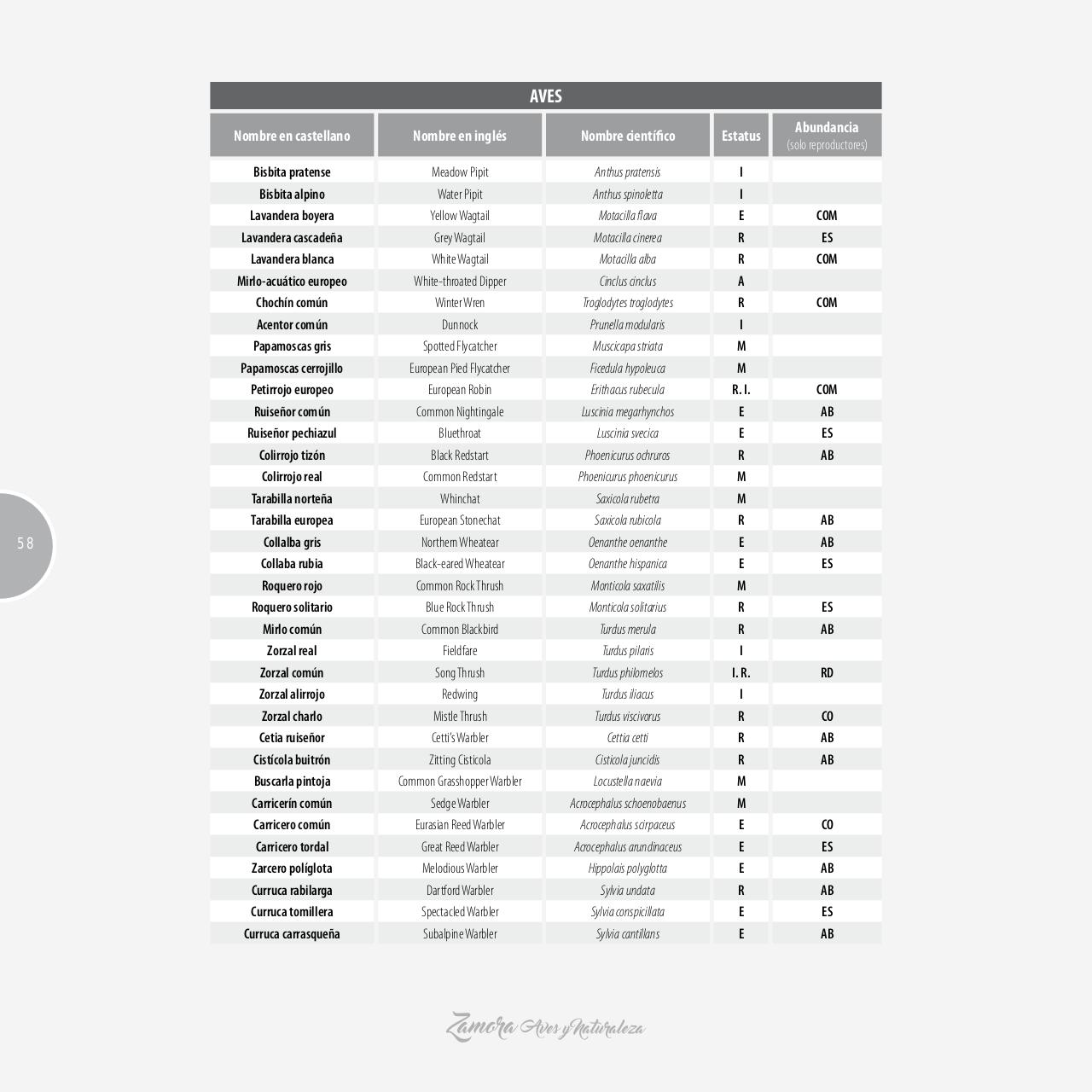 Vista previa del archivo PDF gu-a-aves-y-naturaleza-2017.pdf