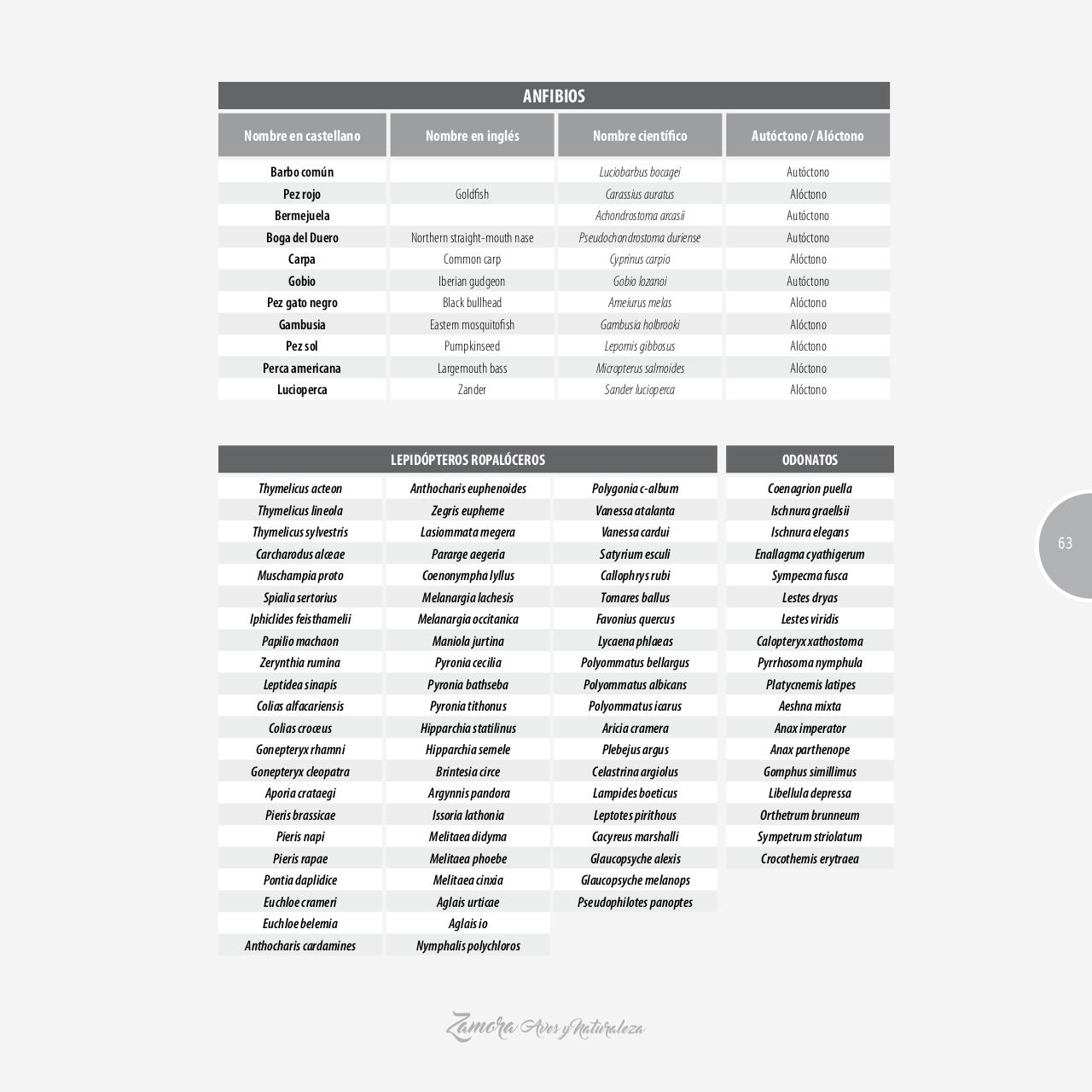 Vista previa del archivo PDF gu-a-aves-y-naturaleza-2017.pdf