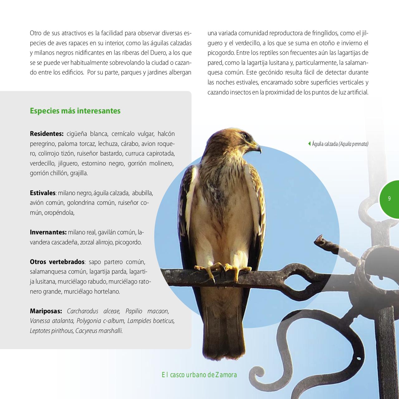 Vista previa del archivo PDF gu-a-aves-y-naturaleza-2017.pdf