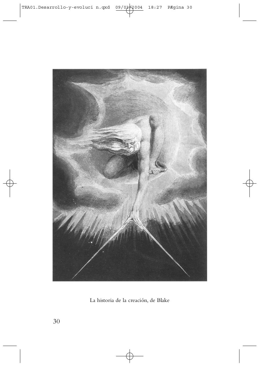 Vista previa del archivo PDF transformaciones-bruno-y-louise-huber.pdf