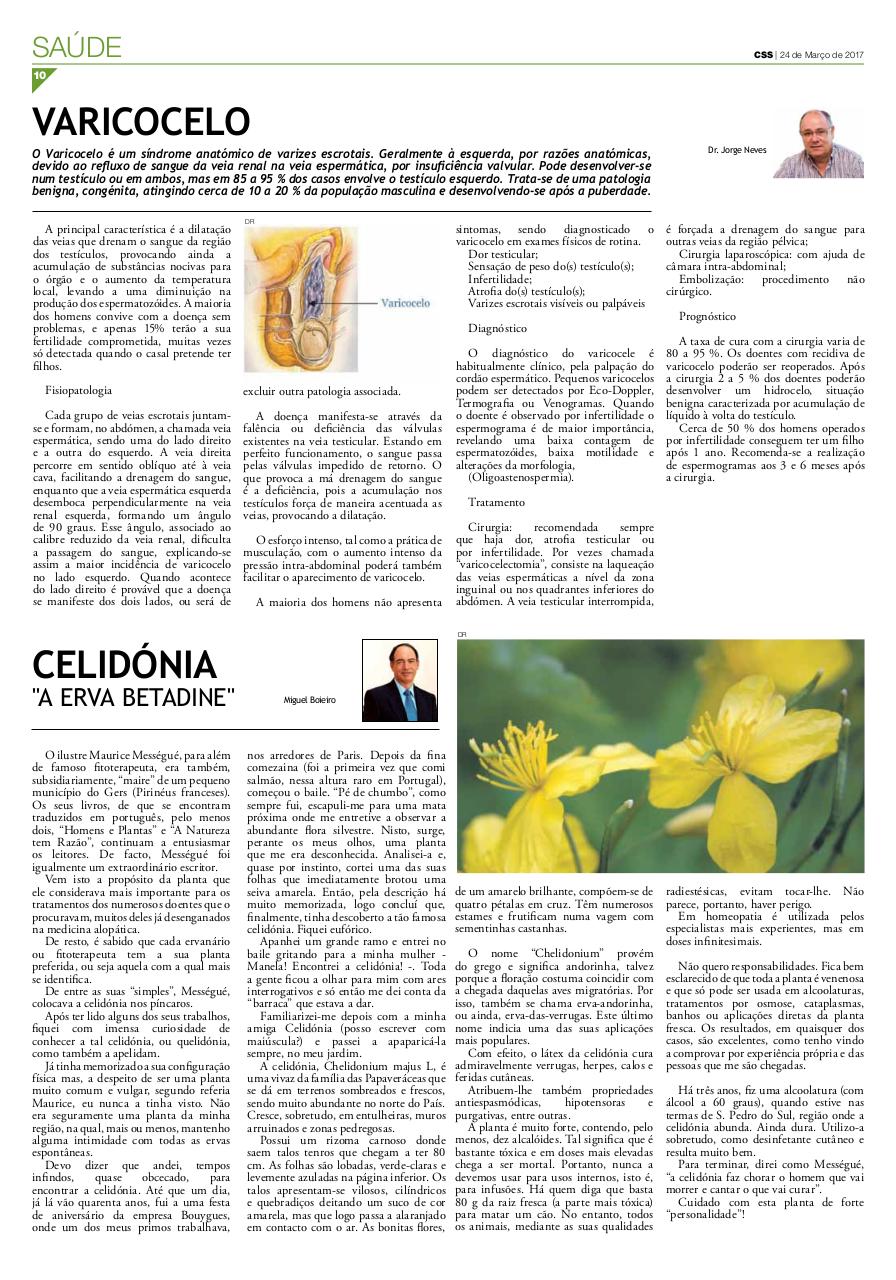 Vista previa del archivo PDF comercio-333.pdf