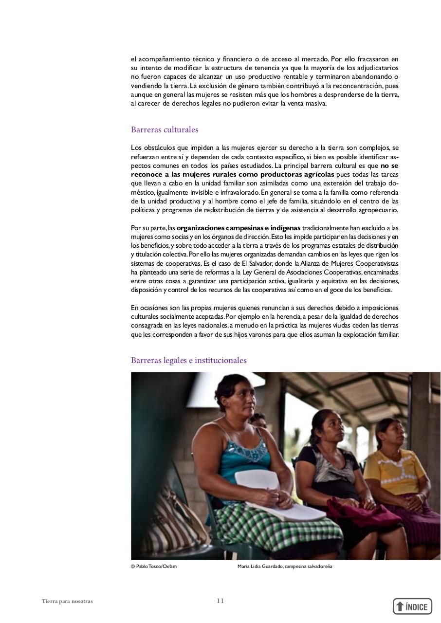 Vista previa del archivo PDF informetierraymujer-redes.pdf