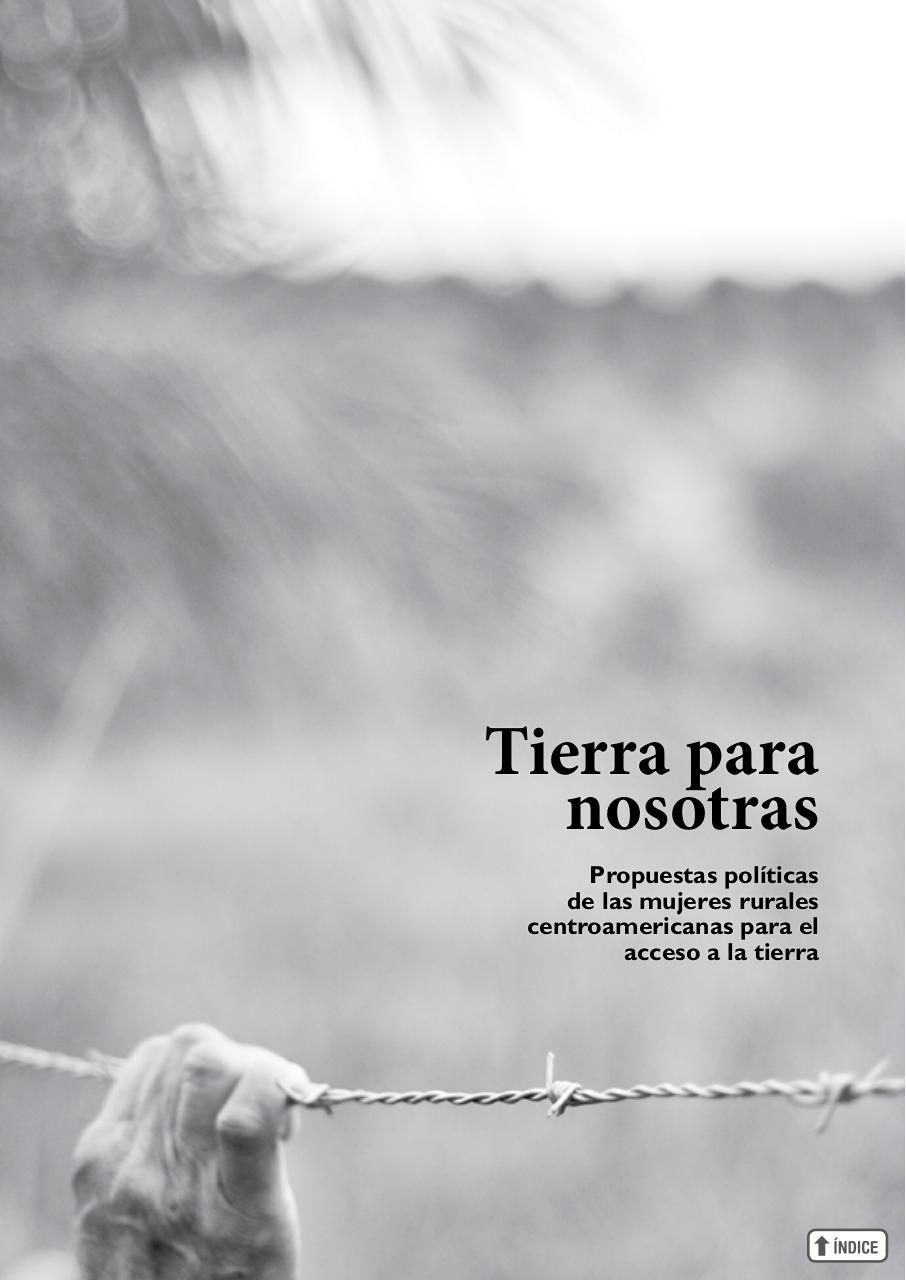 Vista previa del archivo PDF informetierraymujer-redes.pdf