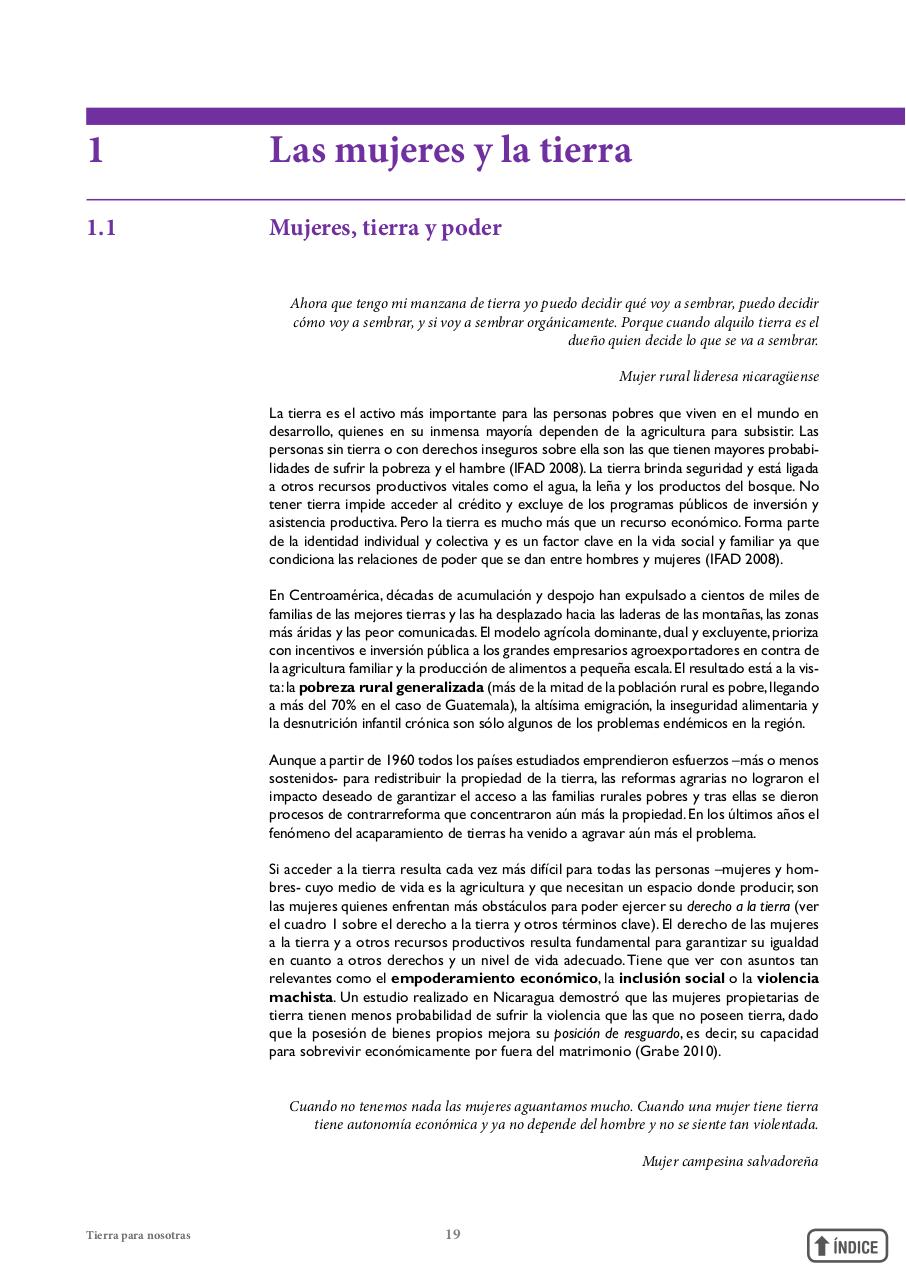Vista previa del archivo PDF informetierraymujer-redes.pdf
