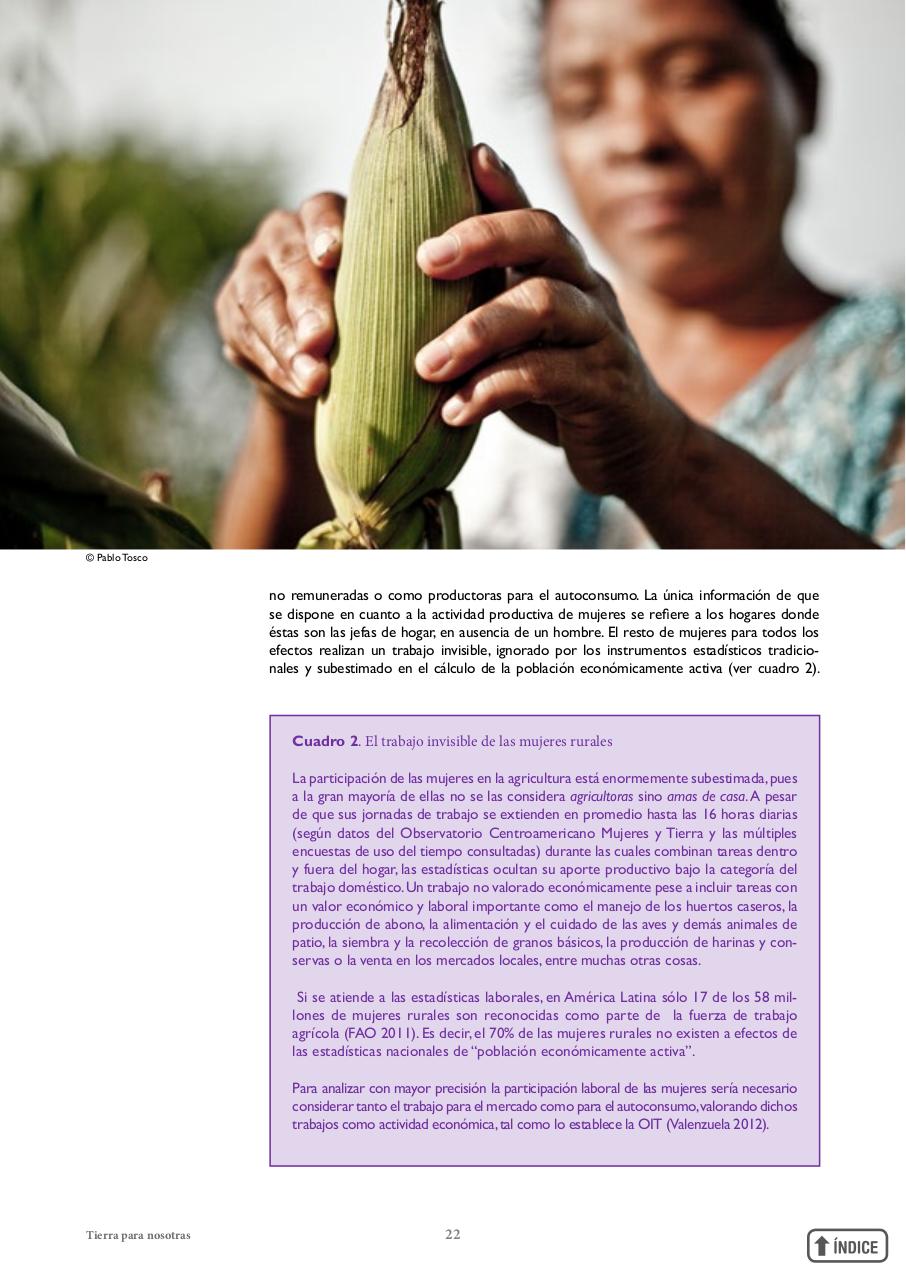 Vista previa del archivo PDF informetierraymujer-redes.pdf