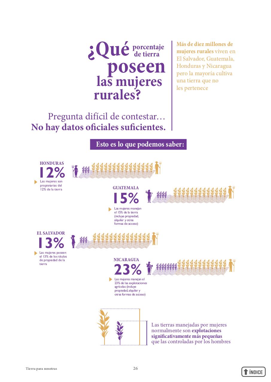 Vista previa del archivo PDF informetierraymujer-redes.pdf