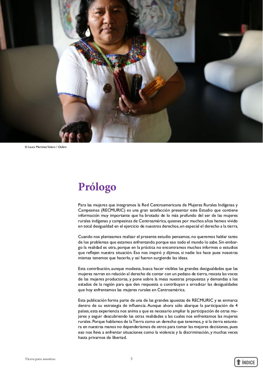 Vista previa del archivo PDF informetierraymujer-redes.pdf