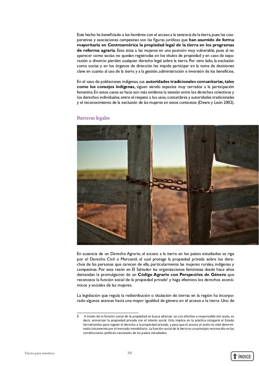 Vista previa del archivo PDF informetierraymujer-redes.pdf