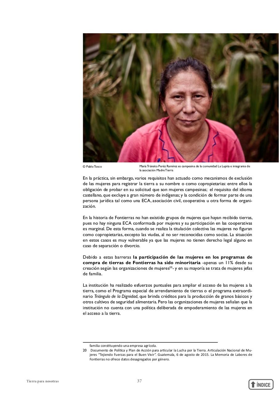 Vista previa del archivo PDF informetierraymujer-redes.pdf