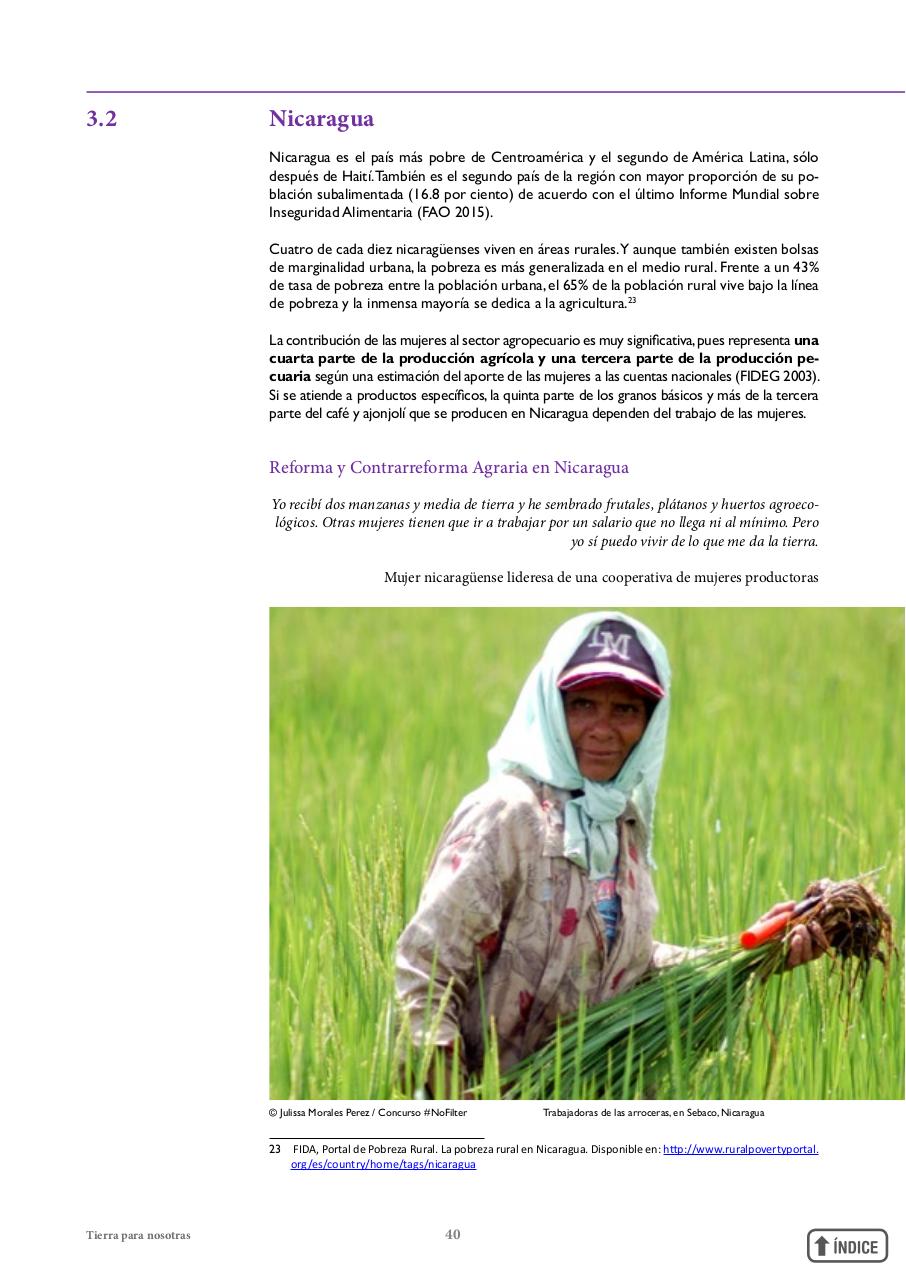 Vista previa del archivo PDF informetierraymujer-redes.pdf