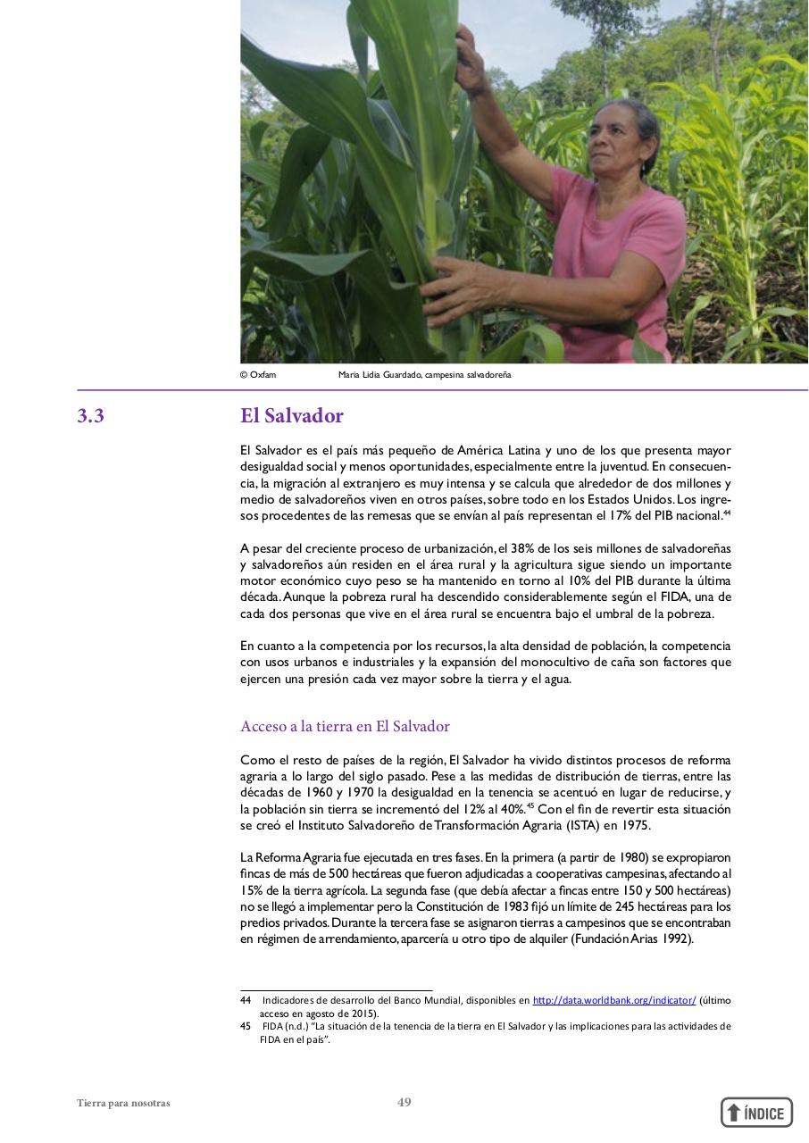 Vista previa del archivo PDF informetierraymujer-redes.pdf