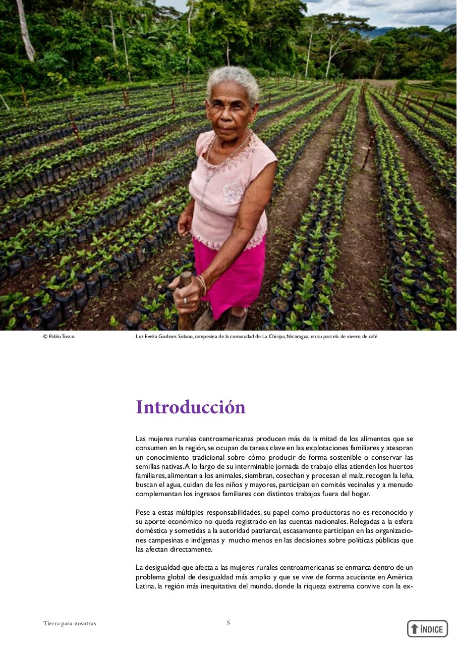 Vista previa del archivo PDF informetierraymujer-redes.pdf