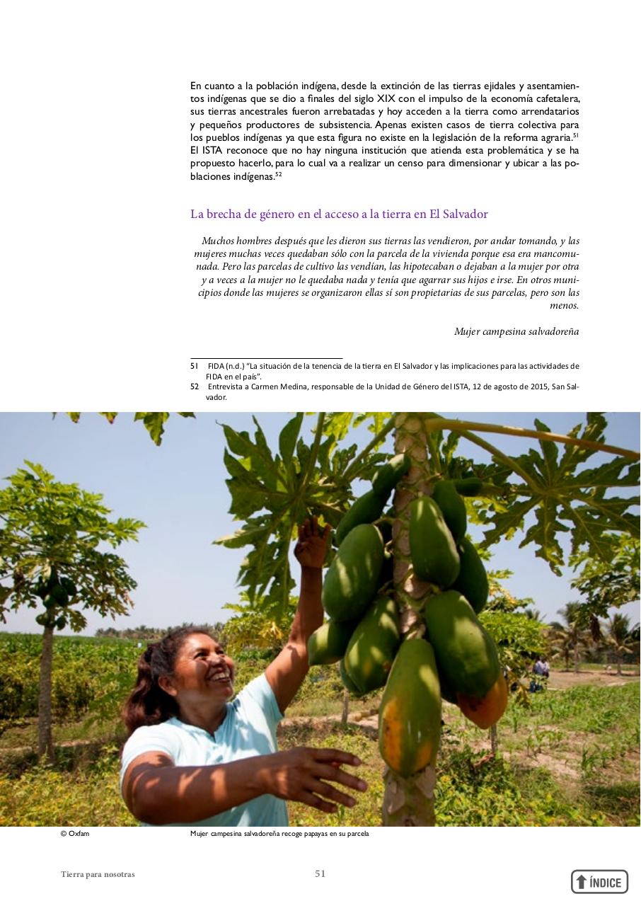 Vista previa del archivo PDF informetierraymujer-redes.pdf