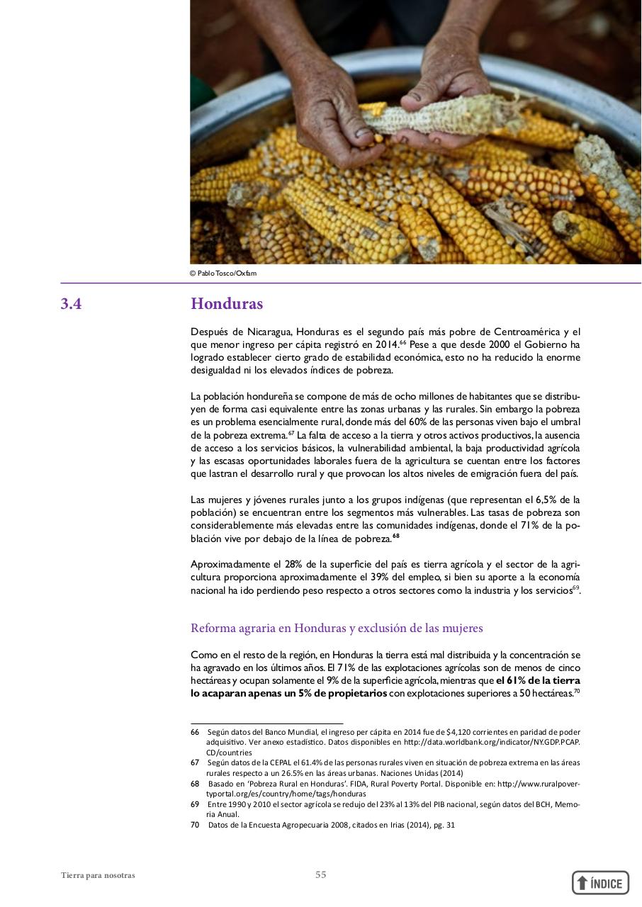 Vista previa del archivo PDF informetierraymujer-redes.pdf