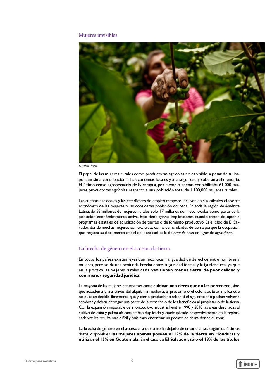 Vista previa del archivo PDF informetierraymujer-redes.pdf